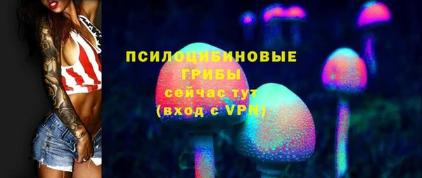 стафф Богородицк